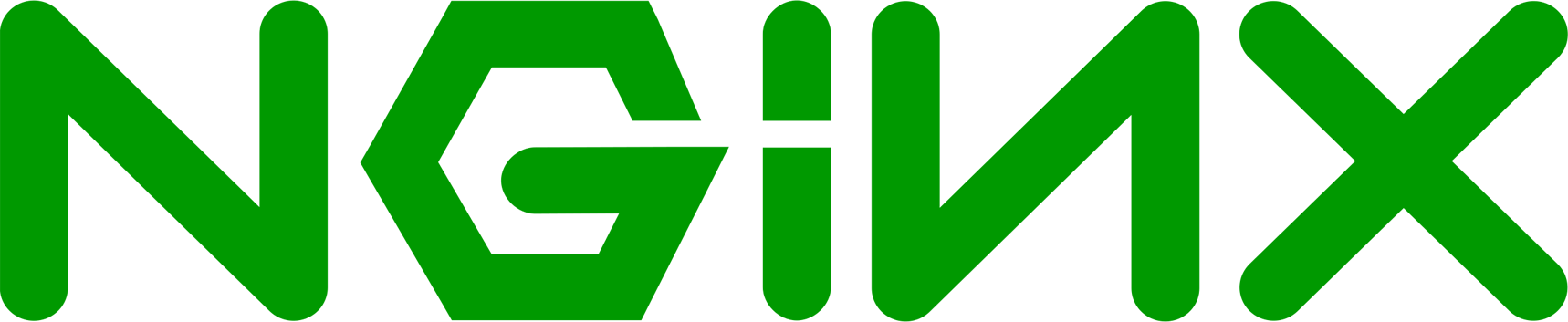 NGINX Logo